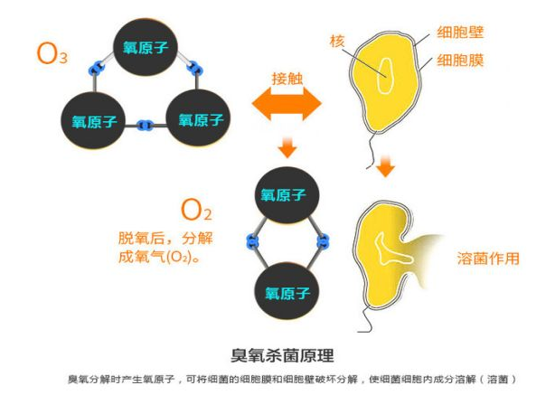 英国威廉希尔公司(williamhill)官方网站